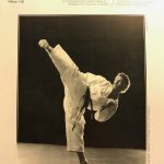 1995-1 Karate-Do